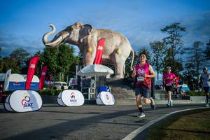 BIB: 
                            <button type="button" onclick="openModal(26541676)" class="btn btn-primary btn-sm float-right btn-popup" data-toggle="modal" data-target=".modal-high-quality">
                        <i class="fas fa-shopping-cart"></i> Add to Cart
                    </button>
                                            <button type="button" onclick="isThisMe(26541676, true)" class="btn btn-success btn-sm float-right btn-popup btn-isme hidden" data-toggle="tooltip" data-placement="bottom" title="นี่คือรูปของคุณใช่ไหม คลิกที่นี่เพื่อเอาเข้าอัลบั้ม">
                        <i class="fas fa-plus"></i> Add to album
                    </button>
                    <button type="button" onclick="isThisMe(26541676, false)" class="btn btn-warning btn-sm float-right btn-popup btn-isnotme hidden">
                        <i class="fas fa-ban"></i> Remove from album
                    </button>